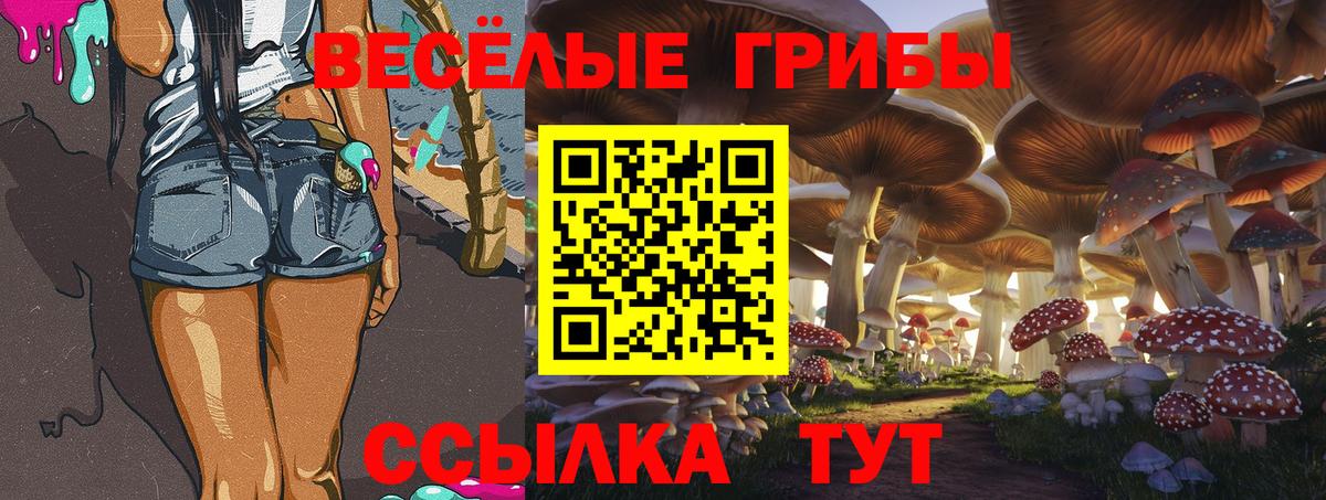 Псилоцибиновые грибы Psilocybe  Вход с VPN  купить наркотики цена  Кудымкар 